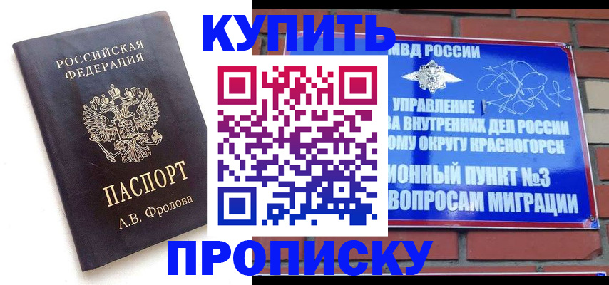 прописка поиск в Коми